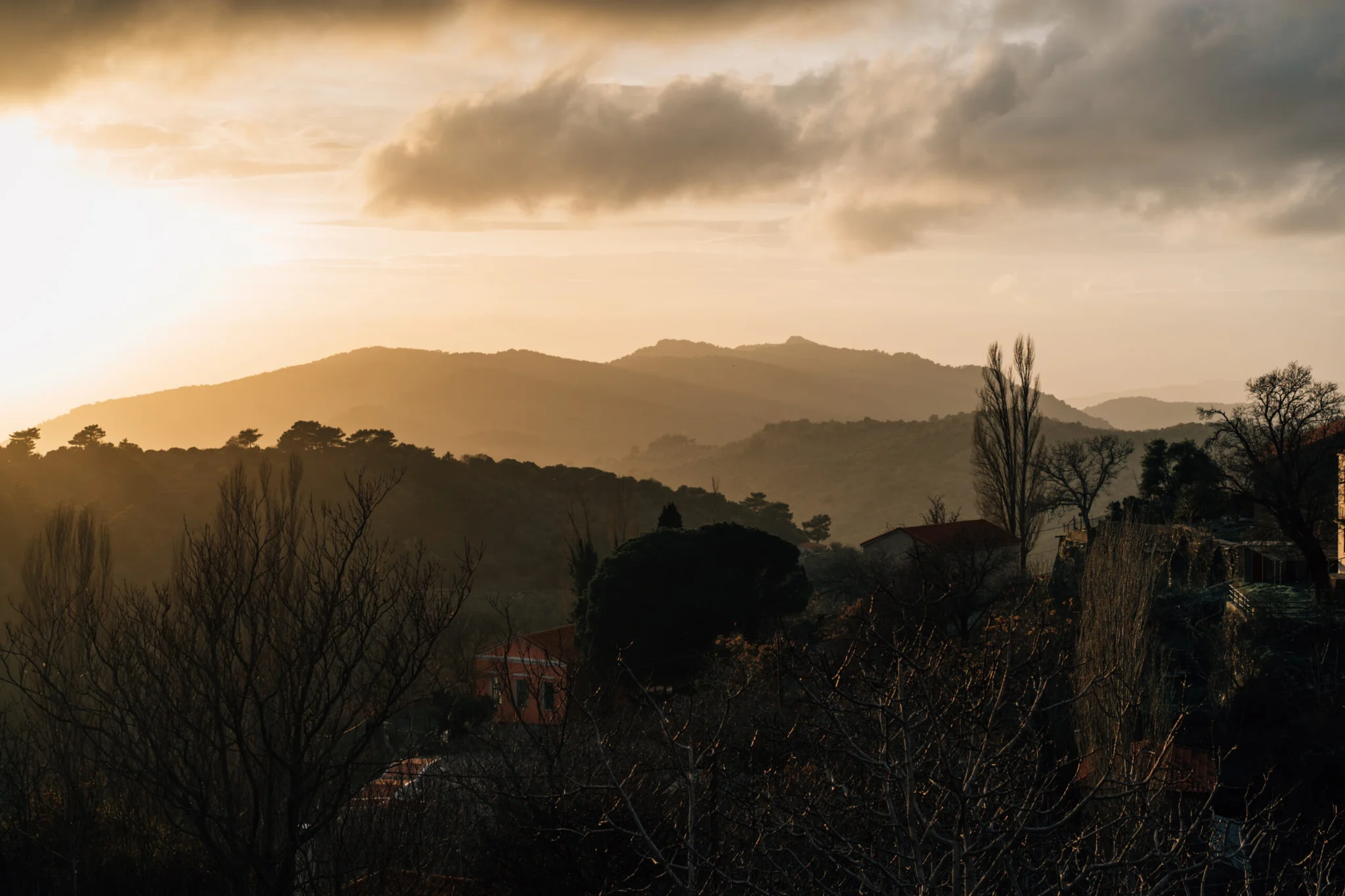 Protoulis Cinematography – Master Olive Oil Makers